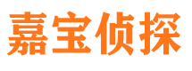 浔阳市侦探调查公司